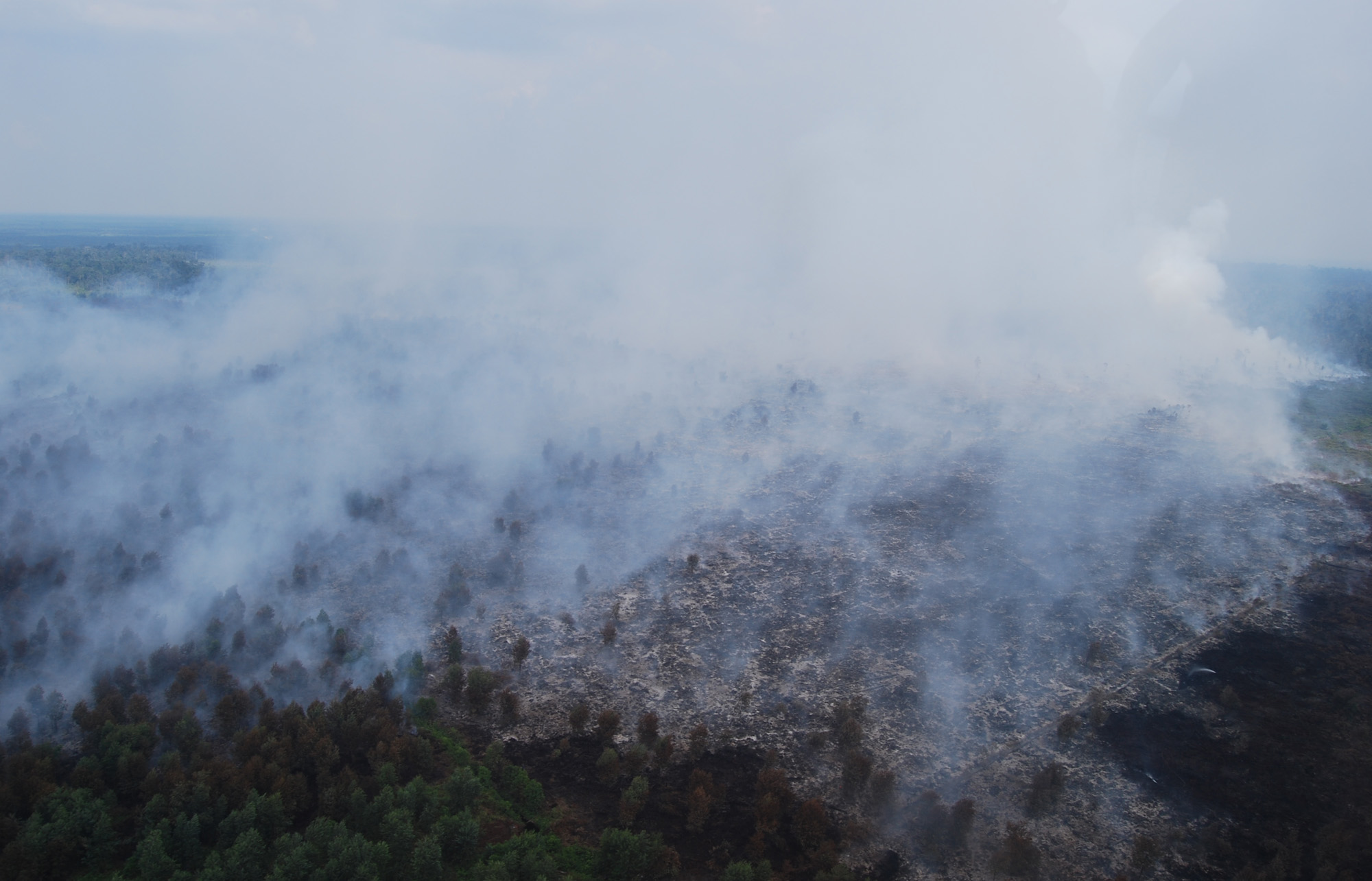 Titik Api Kembali Muncul di Pulau Rupat
